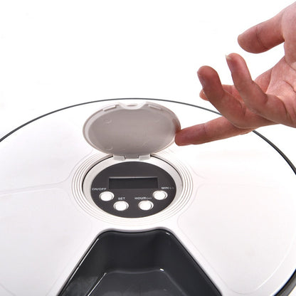 Elektronisch zeitgeschaltete Futterstation