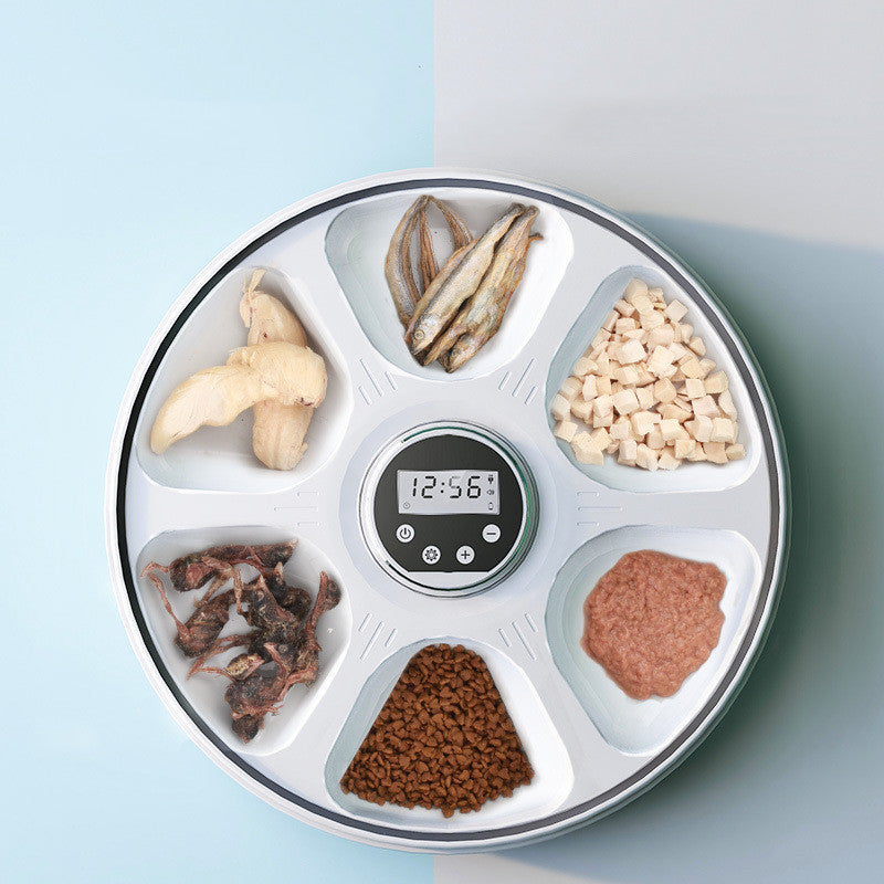 Zeitgeschaltete Futterstation für Katzen und Hunde